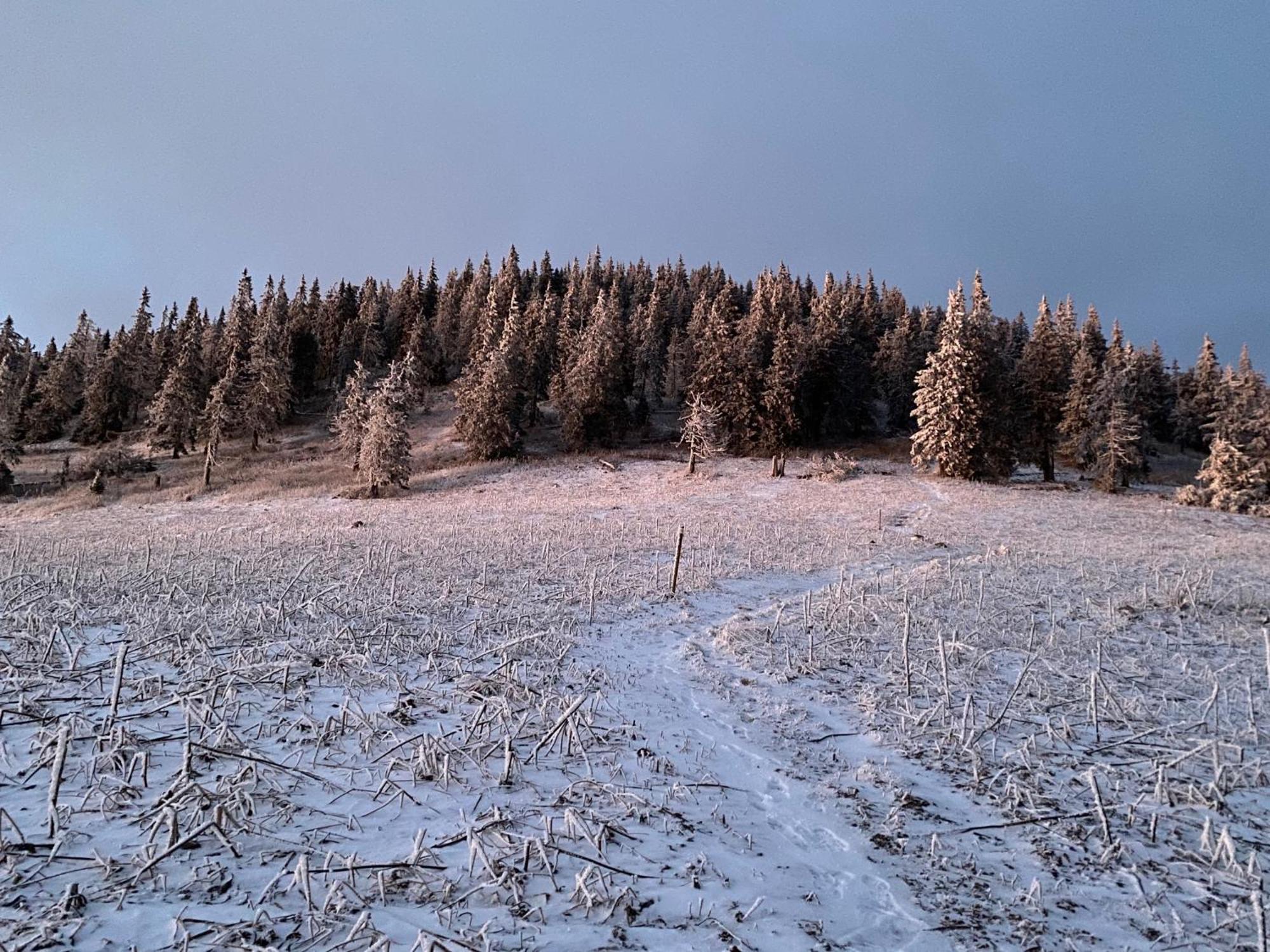 Вілла Drevenica Polomka, 5 Min Peso Restauracia, Ticha Ulica, Potok Брезно Екстер'єр фото